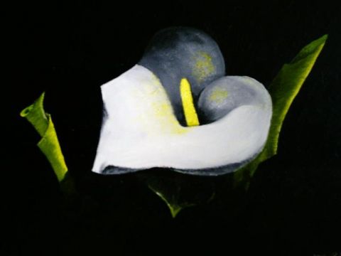 arum